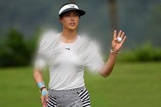 About Michelle Wie Net Worth  